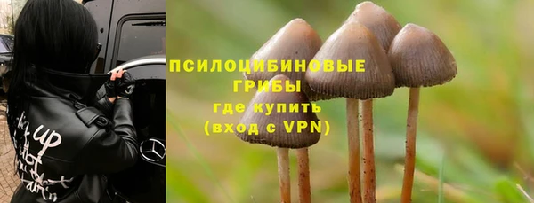 героин Алексин
