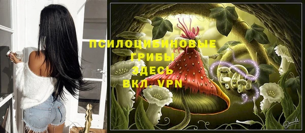 дживик Алексеевка