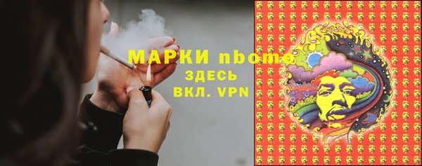 индика Алзамай